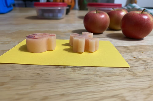 Apple cider wax melts