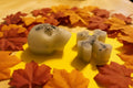 Flannel confetti wax melt